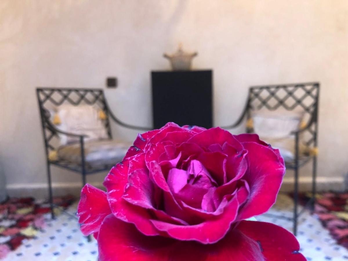 Riad Dar Eljazouli Marrakech Marrakesch